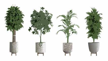 An arrangement of four potted green plants against a white background © bashanti