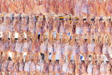 Dried squid on a stall for sale.