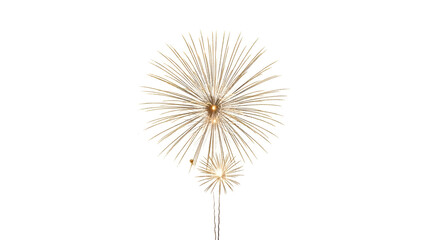 Obraz premium Abstract white sunburst starburst design element decorative art