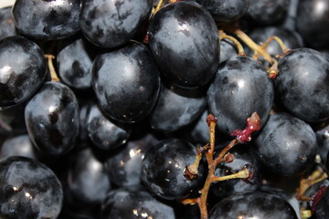 Fresh grapes in close view with focus on dark skin and water droplets in a fruit market