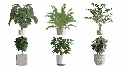 A collection of various potted indoor plants and lush greenery displayed indoors