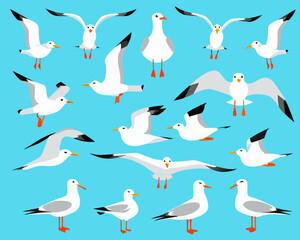 A colorful illustration depicting various seagulls in flight and at rest
