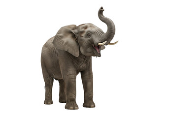 Obraz premium Expressive Elephant with Raised Trunk on White Background