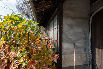 日本の岡山県倉敷市の白壁の美しいレトロな町並み