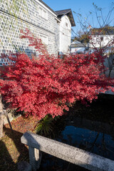 日本の岡山県倉敷市の白壁の美しいレトロな町並み