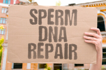 "Sperm DNA Repair" Cells have limited repair, so lifestyle factors affect integrity. SPERM. DNA. INTEGRITY. LIFESTYLE. HEALTH.
