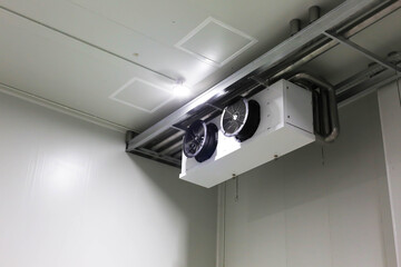 warehouse freezer Logistics storage, loading and shipment
