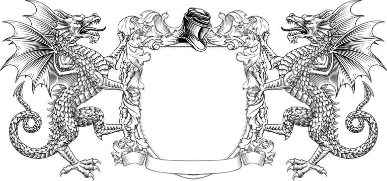Dragons coat of arms or crest family heraldry medieval heraldic knight shield with helmet and acanthus filigree scroll ornament in a vintage woodcut style.
