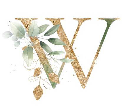 Letter W alphabet initial letter watercolor greenery foliage with line art delicate animation romantic illustrated alpha mask animation golden