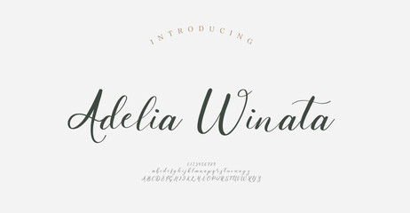 Script typography beauty fashion elegant minimalist serif italic fonts decorative wedding vintage retro logos. Minimal luxury font alphabet logo. Vector illustration  © Wonderlord