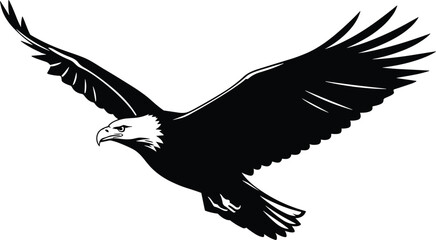 Dynamic Black and White Bald Eagle Vector Illustration, Majestic Soaring Bird of Prey with Wings Spread, Symbolizing Freedom, Strength, Power, Patriotism, Mascot, Logo Design Element.