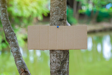 A blank piece of brown corrugated cardboard is pinned with a blue tack onto a tree trunk by a pond, providing natural outdoor copy space for custom text or warnings.
