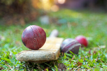 A worn red leather cricket ball rests on the worn wooden edge of a cricket bat on a patch of lush green grass, with blurred balls in the background. Depicts outdoor sport.