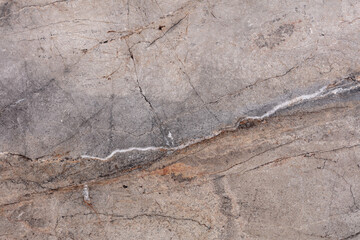 Silver Roots Marble background, texture in stylish tone for your design.