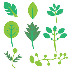 A set of nine leaf shapes