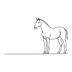 Minimalist Standing Horse. Chinese Zodiac Sign. line drawing. Line art. Illustration
