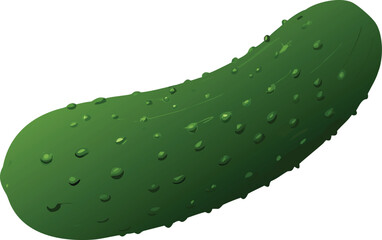a single vibrant green cucumber lies isolated on a plain white background clearly