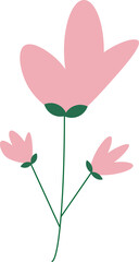 Pink flower illustration