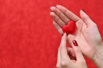 heart in a woman's hand. copy space