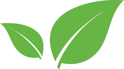 A simple illustration displays two vibrant green leaves with prominent veins and stems