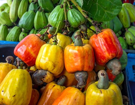 Colorful Collection of Fresh Tropical Cashew Apples and Raw Cashew Nuts in a Vibrant Market Display