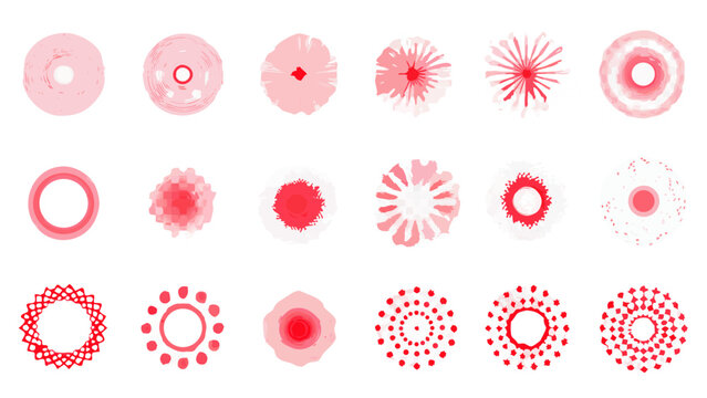 Stages of sea urchin embryo development visualized through microscopic imagery