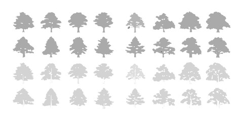 Fototapeta premium A collection of stylized coniferous tree silhouettes in varying shades of gray