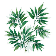 Obraz premium Tropical Palm Leaves Botanical Illustration