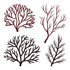 Obraz premium Four illustrations of branching coral or seaweed in a dark reddish brown color