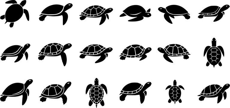 Turtle silhouette, Sea turtle silhouettes, Turtle, Turtle icon set, Turtle clipart, Underwater animal set