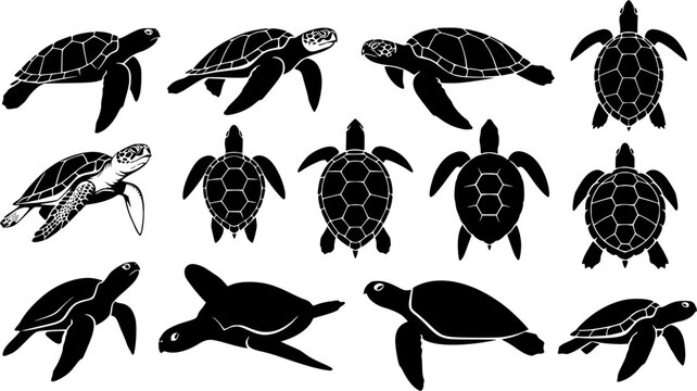 Turtle silhouette, Sea turtle silhouettes, Turtle, Turtle icon set, Turtle clipart, Underwater animal set