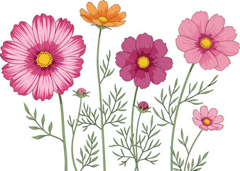 Fototapeta premium Hand-drawn floral illustration featuring pink and orange wildflowers with delicate leaves, perfect for botanical designs, decorative artwork, and invitations