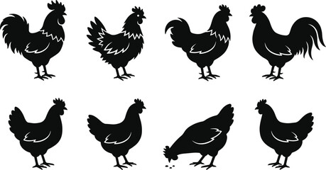 Chicken and rooster silhouette illustration set in black and white style for farm, poultry and agriculture design projects
