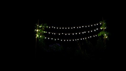 String lights illuminate lush greenery against a stark dark night sky