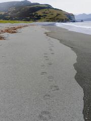 footprints on the beach