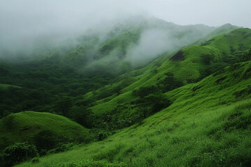 mystical morning as dense fog weaves through rolling green hills, creating dreamy landscape
