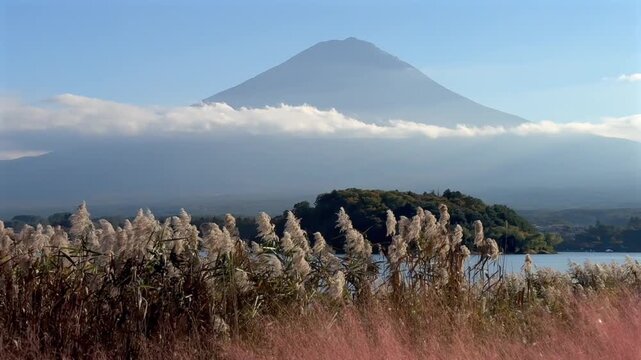Mount Fuji rising over Lake Kawaguchi during a lateral camera pan from right, with warm autumn light softening distant slopes and tall reeds bordering the still lakeshore