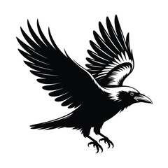 A striking black raven in flight wings spread and soaring gracefully