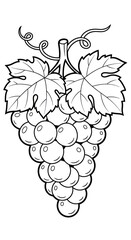 Simple grapes coloring page with leaves and tendrils on white background, black and white art illustration for kids' activity and education