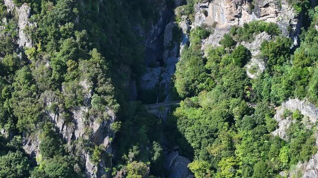 Aerial view of Corsican cliffs and dense green forests in midday light