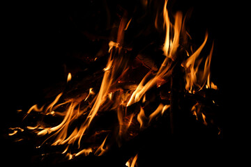 Flames Dance in Dark Night with Glowing Wood Logs