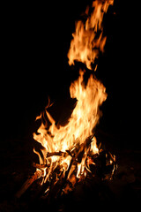 Bright Flames Rising from a Campfire in a Dark Night Background