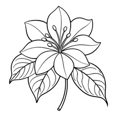 Obraz premium miniaml clerodendrum inerme flower line art vector 