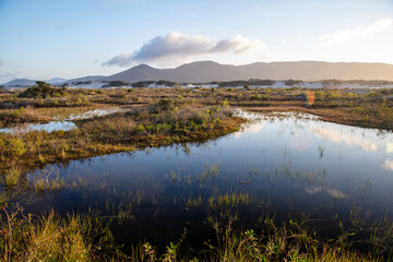 View of the Joaquina dunes at sunset, lagoons in the dunes and beach in the background on the island of Florianopolis, Santa Catarina, Brazil.