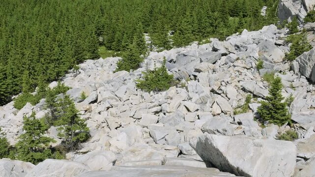Southern Urals, Zyuratkul National Park: rocks on the slope of Mount Zyuratkul.