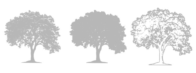 Fototapeta premium Gray Tree Silhouette Set with Natural Foliage Vector