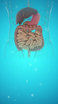 This medical video displays the human digestive system (liver, stomach, intestines) in a transparent anatomical view, set against a blue background with biohazard symbols and molecular patterns