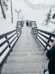 Snow-covered outdoor stairs lead down a winter landscape. A black dog walks ahead, leaving paw prints in the fresh snow. Trees and a fence are visible in the background.