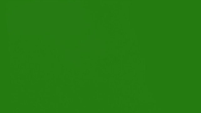 High-quality muzzle flash animation on green screen designed for weapon fire visual effects. Ideal for film, action scenes, games, trailers, and military or tactical video projects. Easily composited 