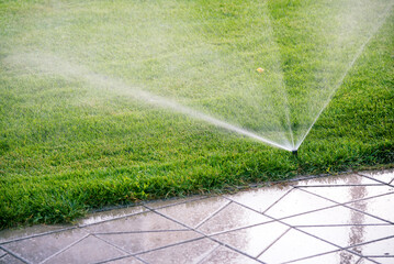 Sprinkler spraying water on a lawn